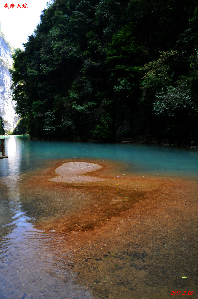 dsc_5248.jpg