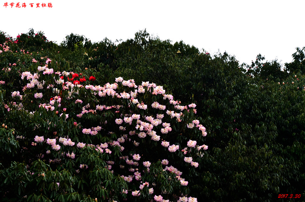 dsc_6127.jpg