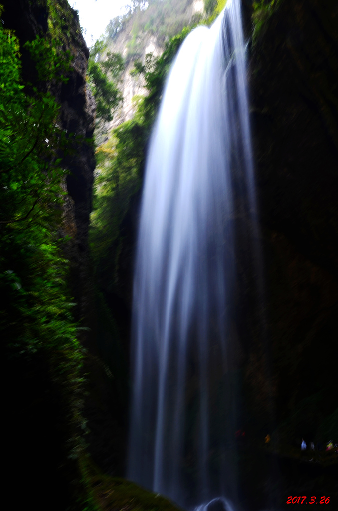 dsc_5333.jpg