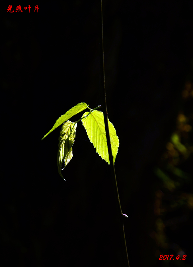 dsc_6893.jpg