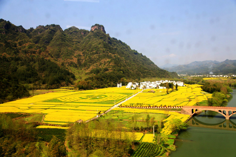 img_0059_副本_副本.jpg