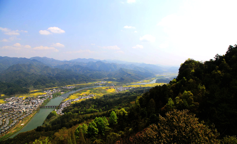 img_0087_副本_副本.jpg
