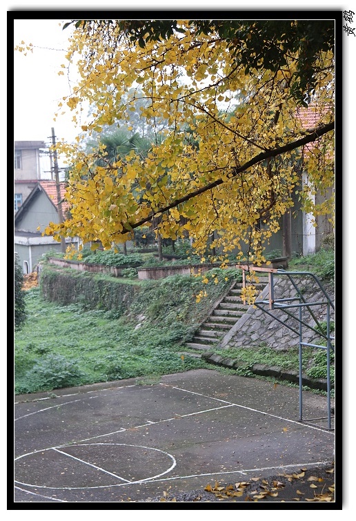 ɽͷ120.jpg