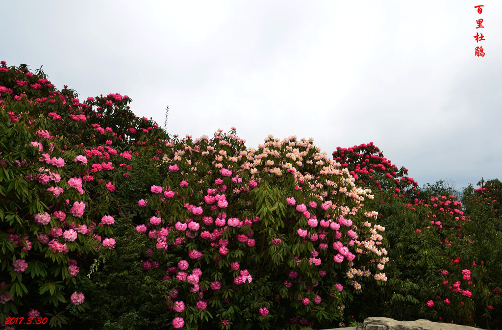 dsc_6124.jpg