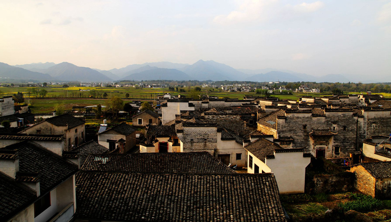 img_9982__.jpg