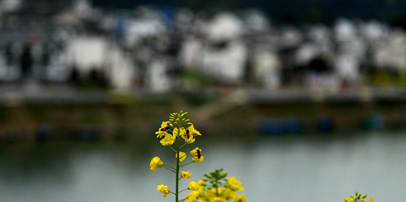 img_6604__.jpg