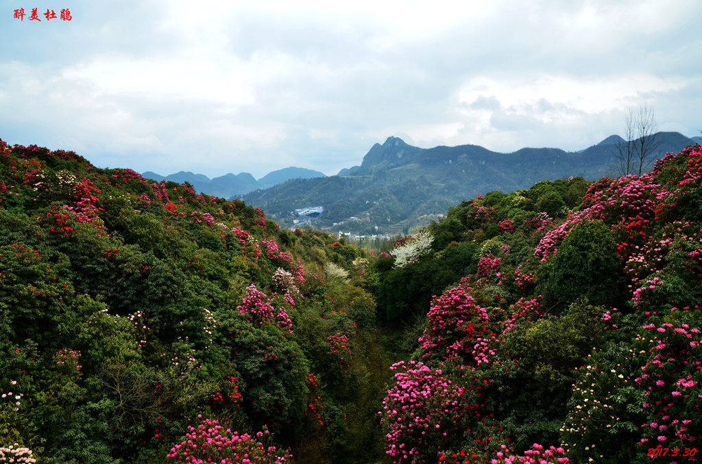 dsc_6185.jpg