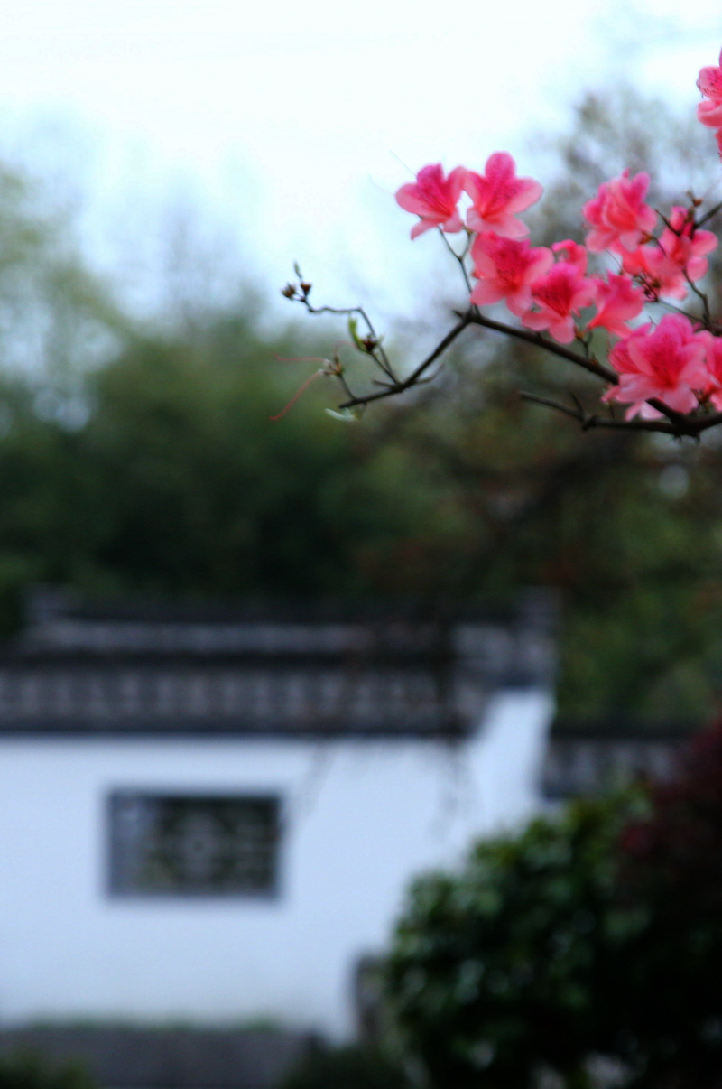 img_7438_副本_副本.jpg