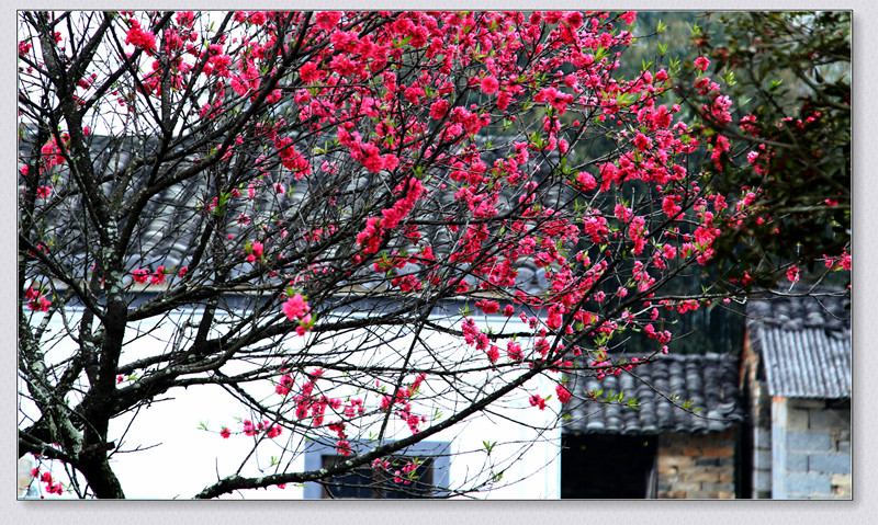 img_7442_副本_副本.jpg