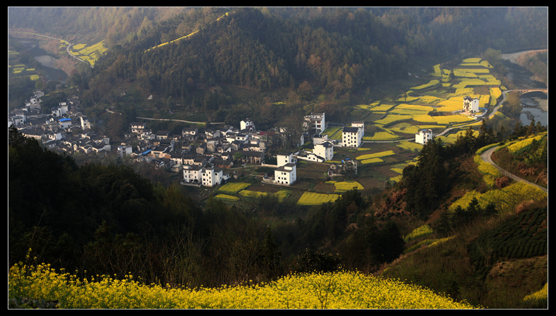 img_6732_副本_副本.jpg