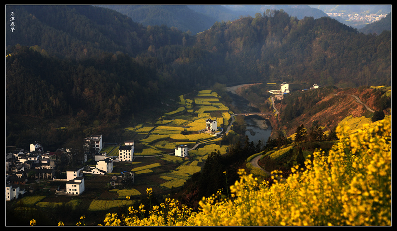 img_6733_副本_副本.jpg