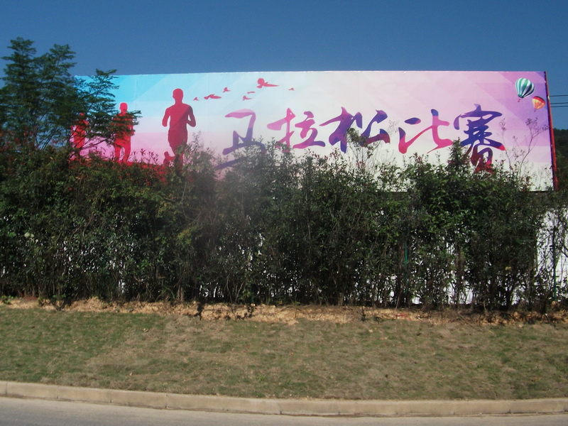 dscf0110.jpg