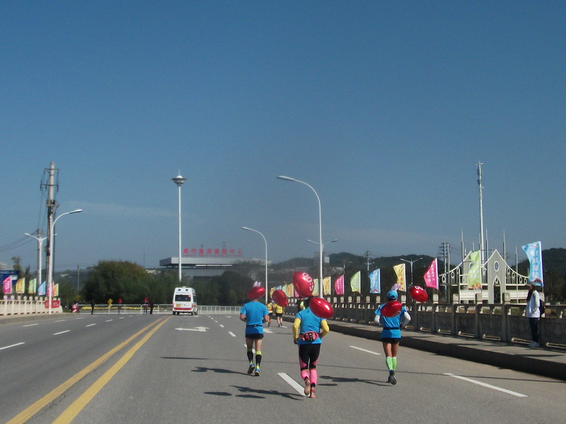 dscf0113.jpg