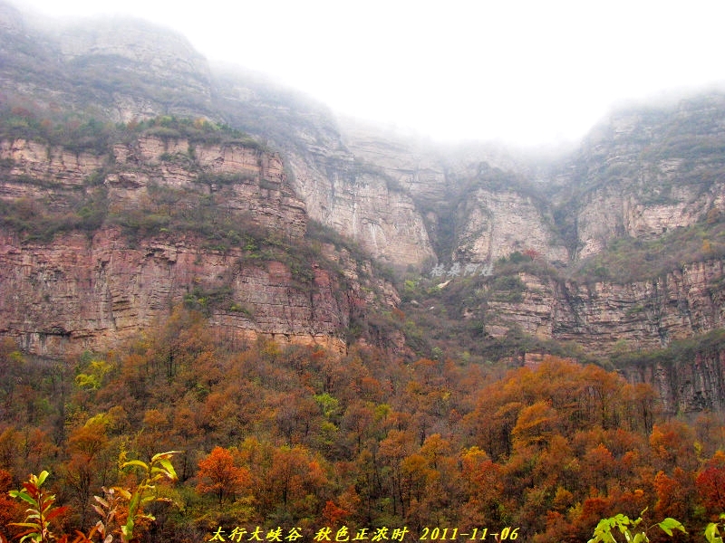 201111815504799821龙床沟_看图王.jpg