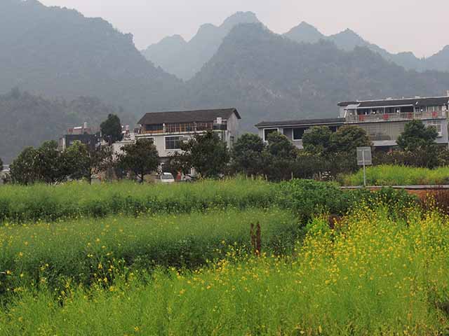 dscn4193.jpg