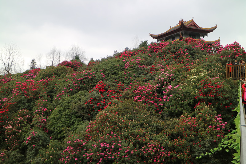 img_7672_副本.jpg
