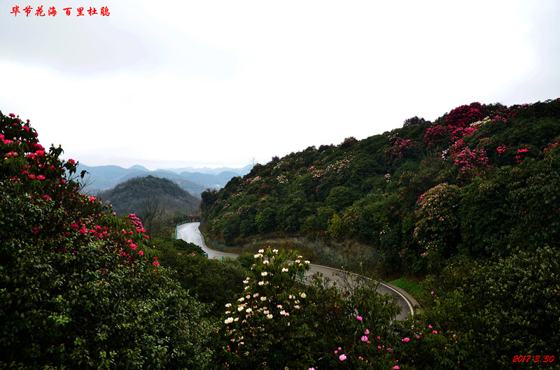 dsc_6119_副本.jpg