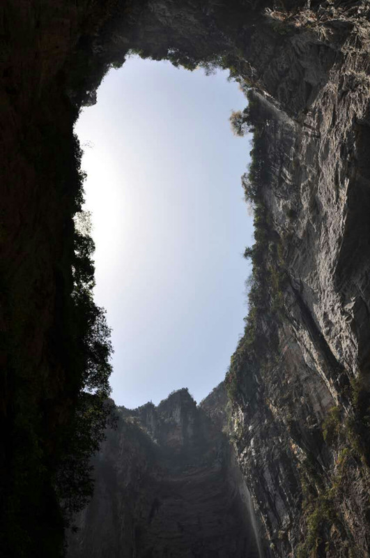 mmexport1491460796041_.jpg