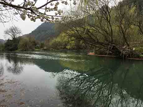 img_1150.jpg