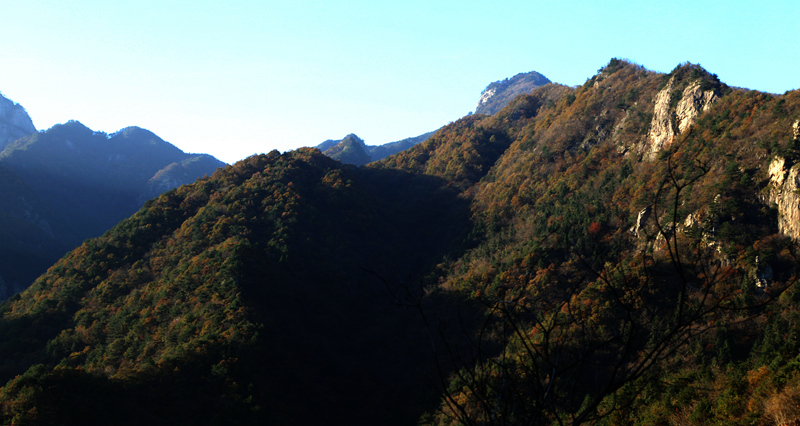 img_9583__.jpg