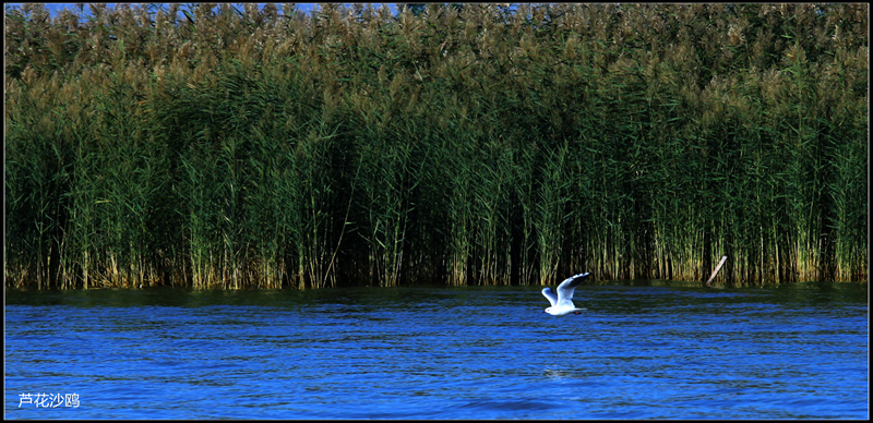 img_5474___.jpg