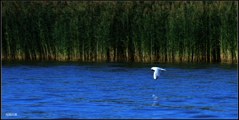img_5477__.jpg