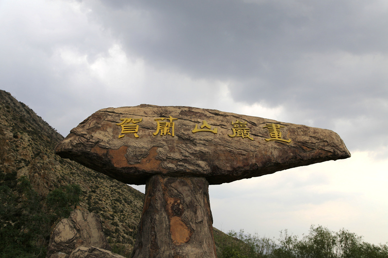 img_5045_副本_副本.jpg
