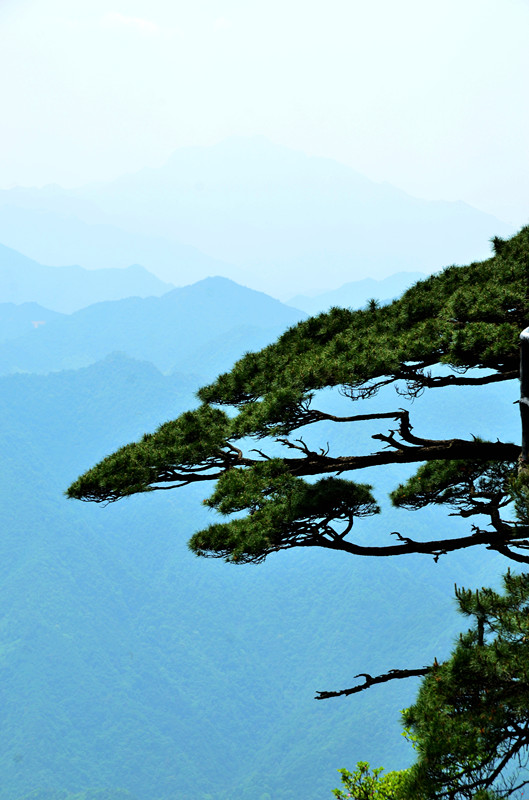 dsc_9805_副本.jpg