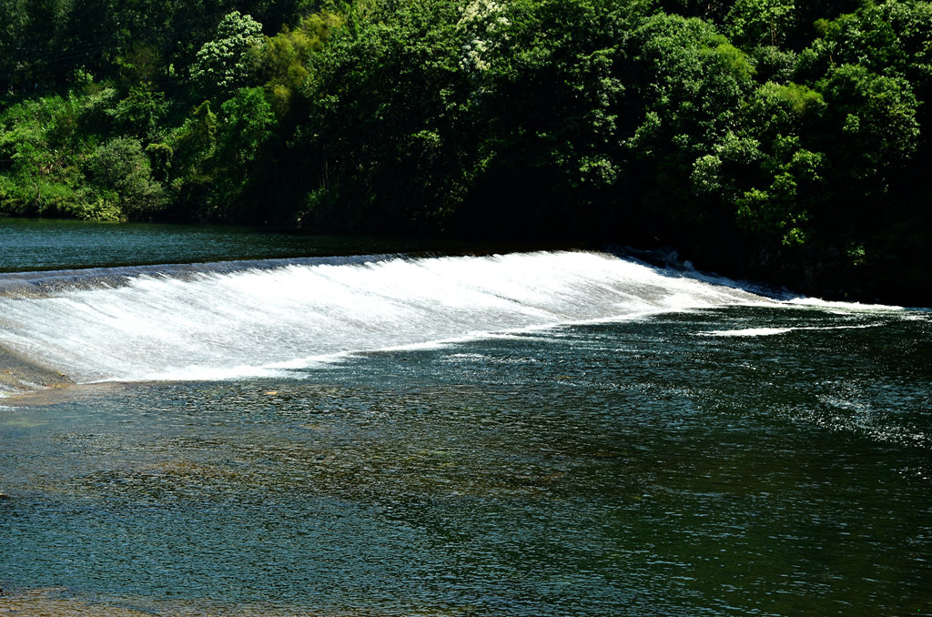 dsc_9344.jpg