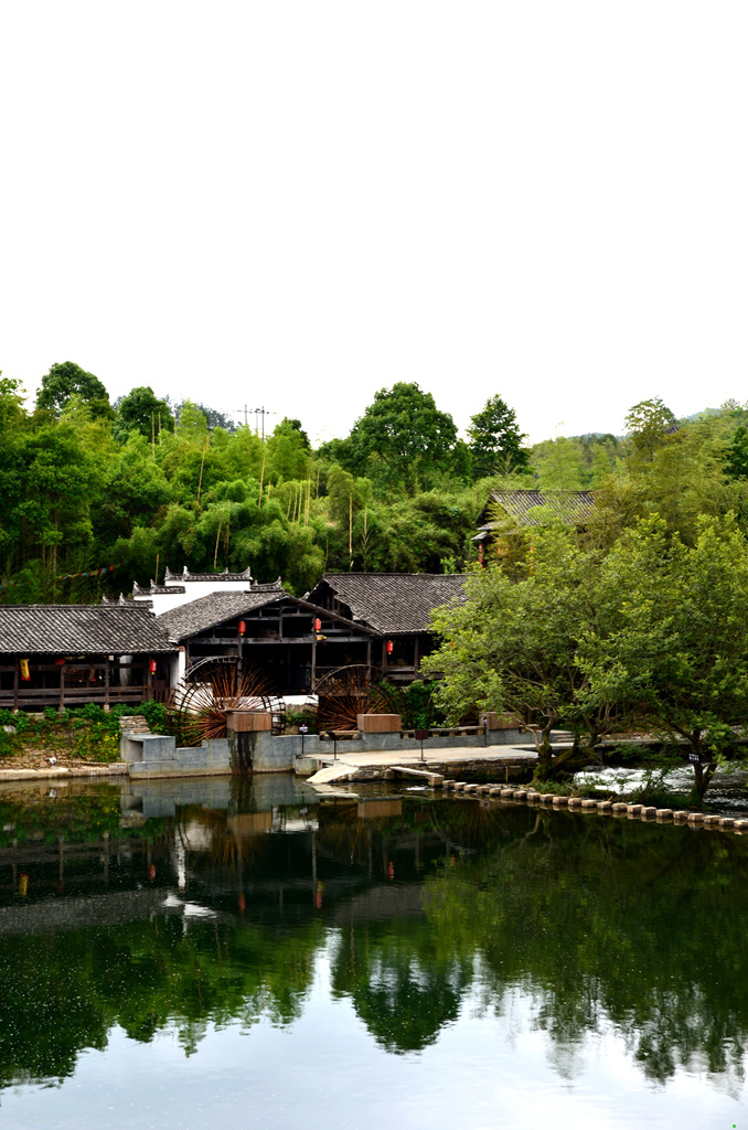 dsc_9092.jpg