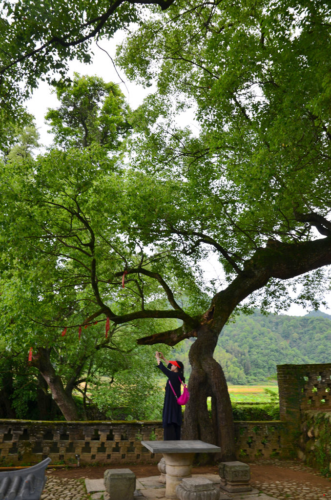 dsc_9050.jpg