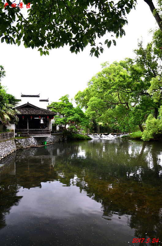 dsc_9082_副本.jpg