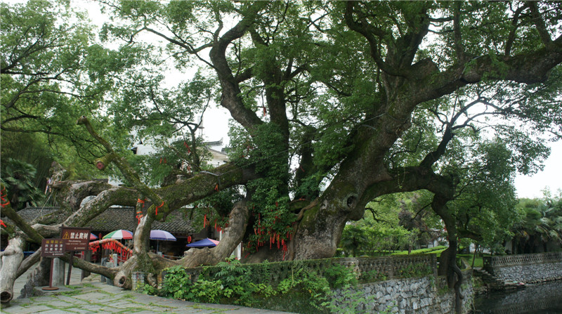 dsc09138.jpg
