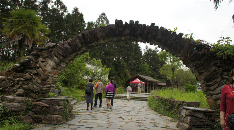 dsc09246.jpg