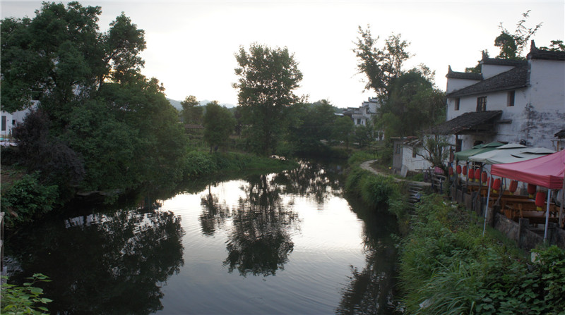 dsc09263.jpg