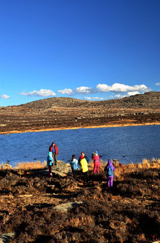 dsc_1014.jpg
