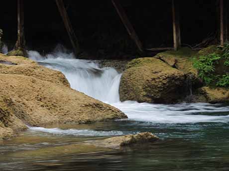 dscn5286.jpg