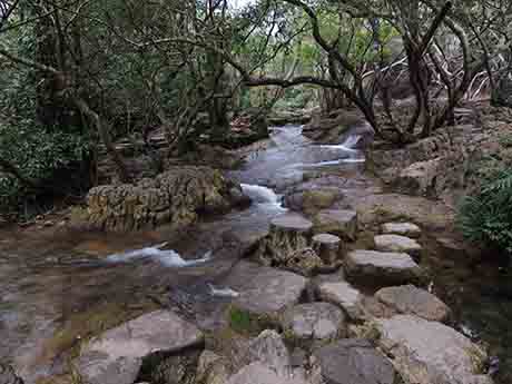 dscn5378.jpg