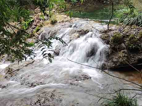 dscn5360.jpg