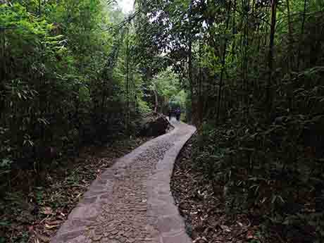 dscn5353.jpg
