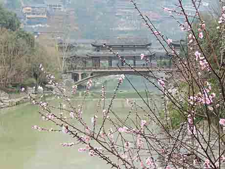 dscn5802.jpg