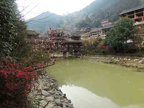 dscn5578.jpg