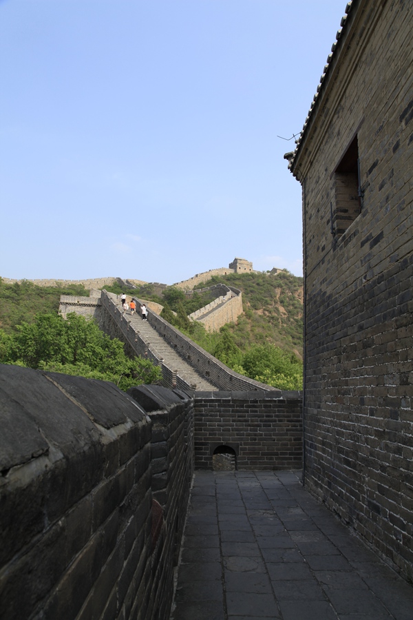 _mg_9389.jpg