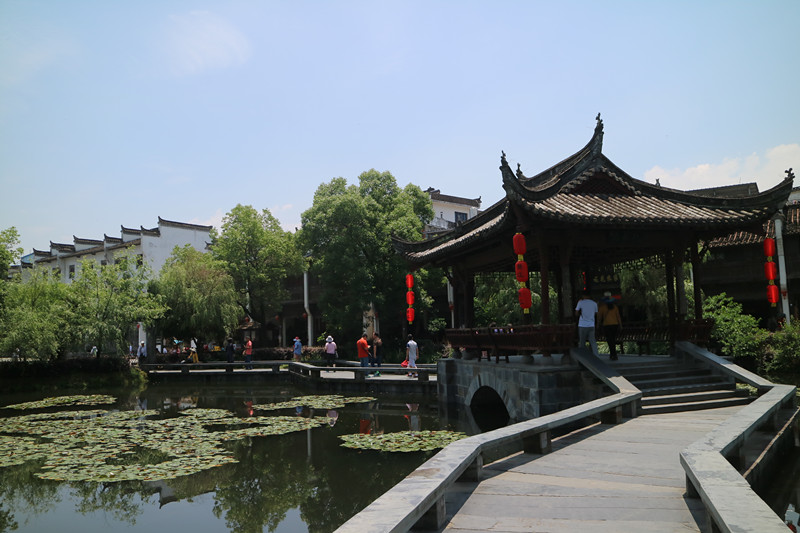 img_8295_副本.jpg