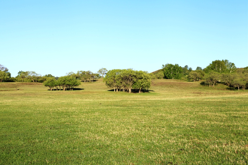 _mg_9687.jpg