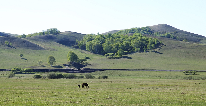 _mg_9796.jpg