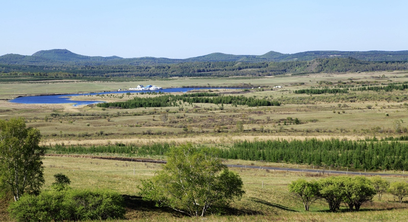 _mg_9808.jpg