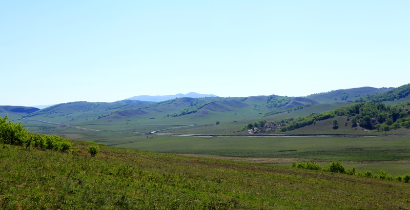 _mg_9814.jpg