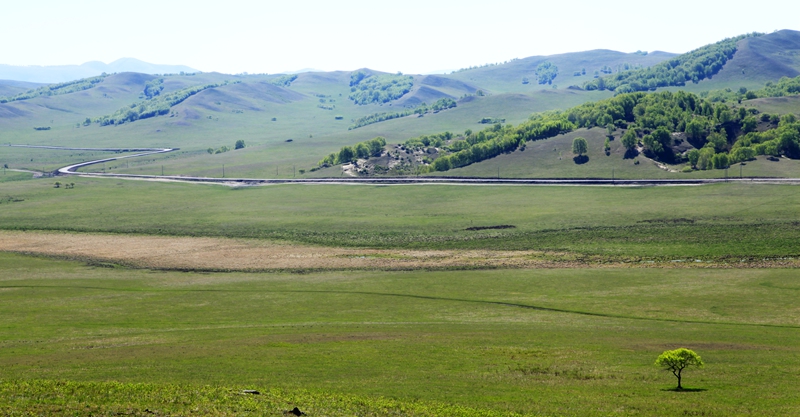 _mg_9822.jpg
