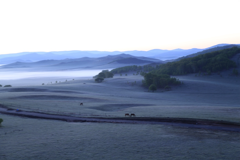 _mg_9541.jpg